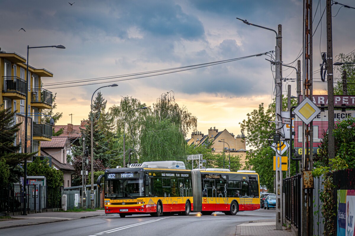 7890
Słowa kluczowe: ZachĂłd