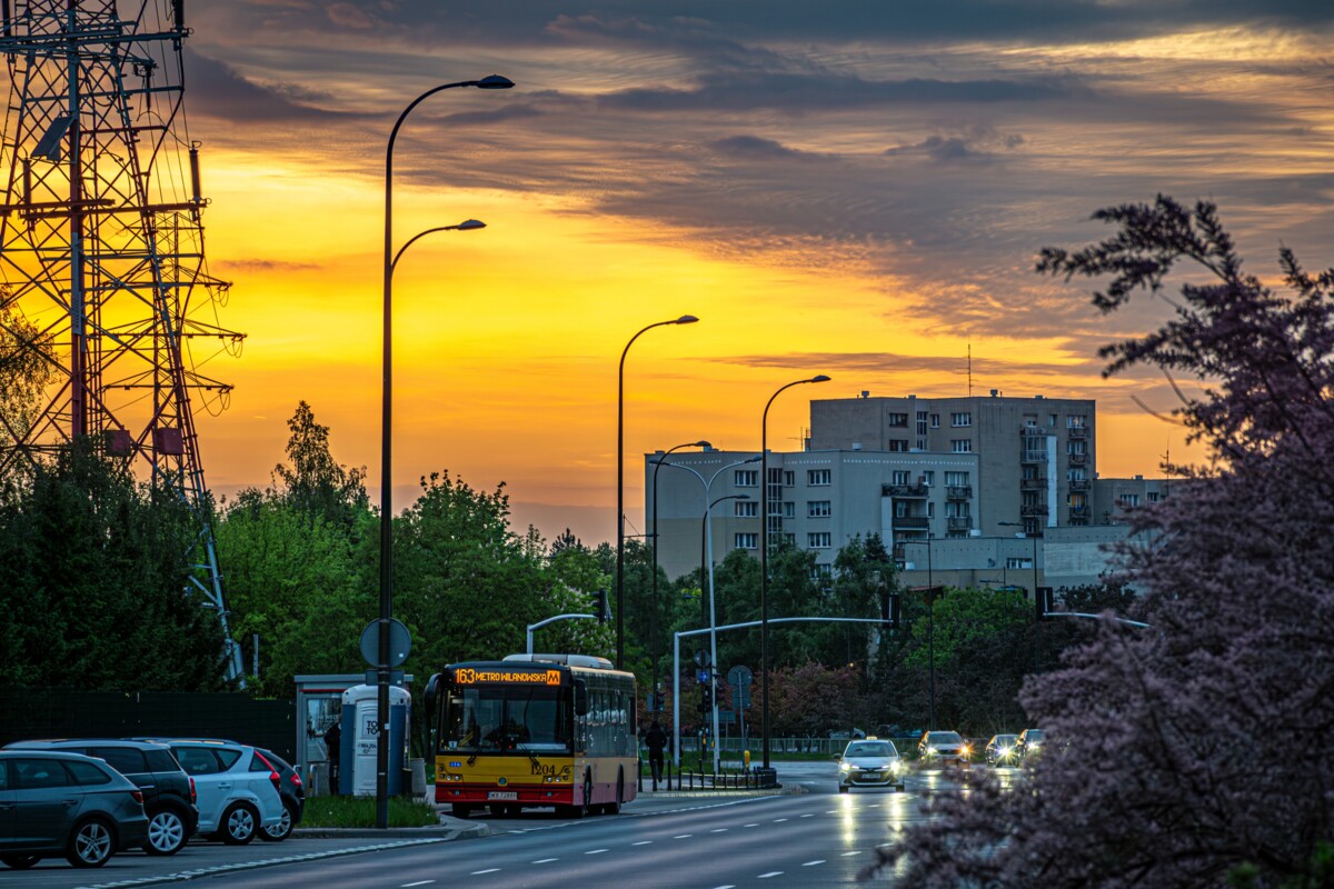 1204
Słowa kluczowe: ZachĂłd