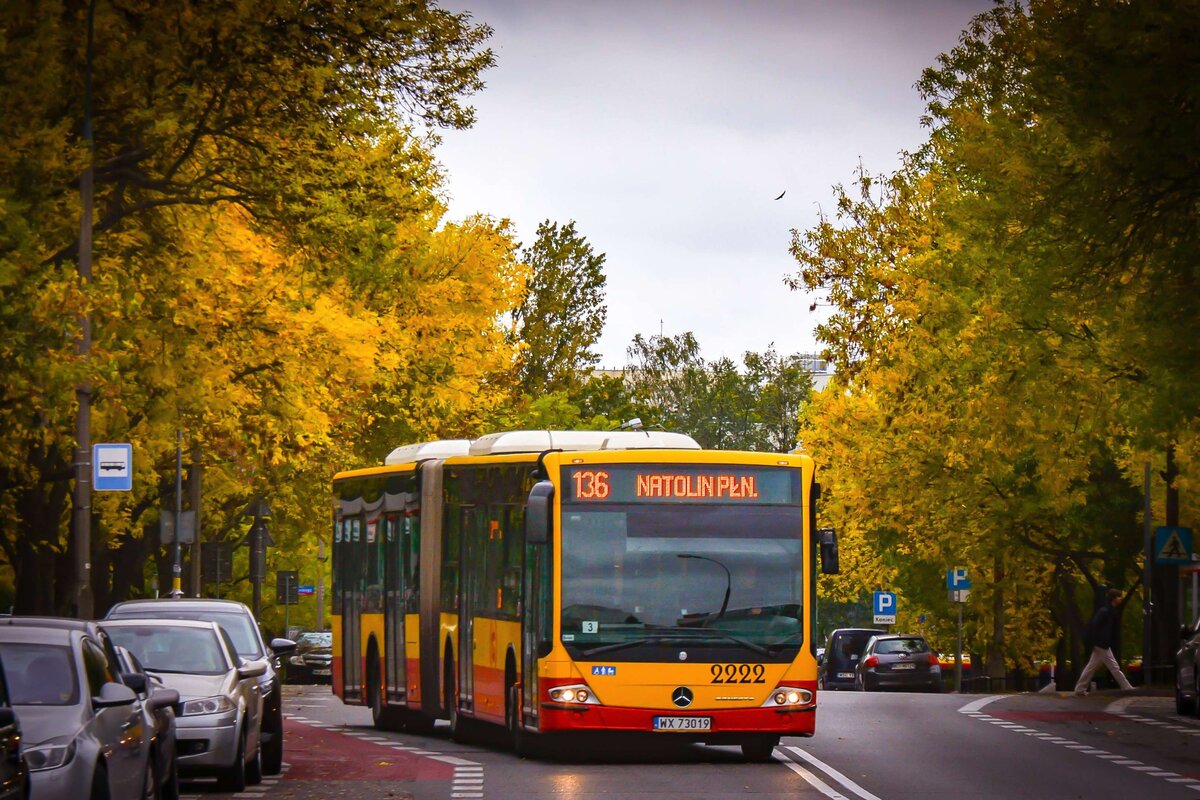 2222
Słowa kluczowe: JesieĹ