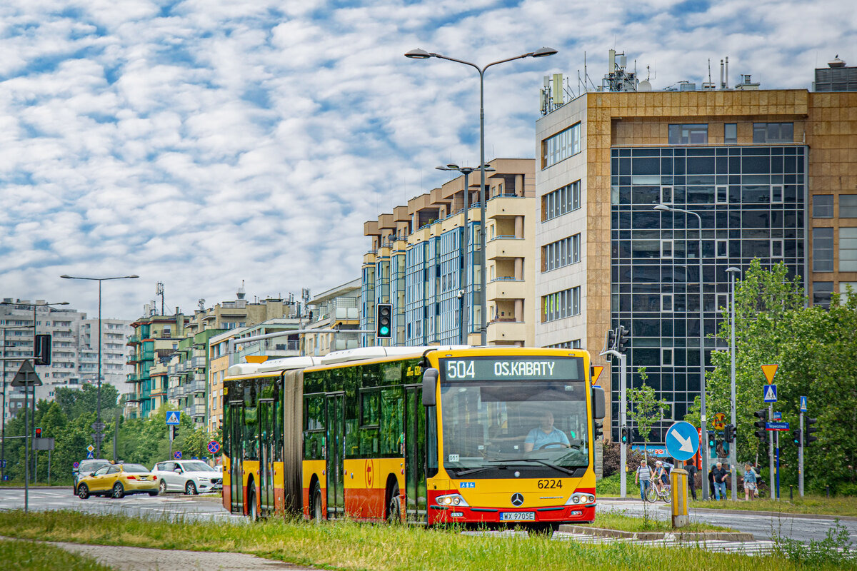 6224
Słowa kluczowe: DziwadĹo