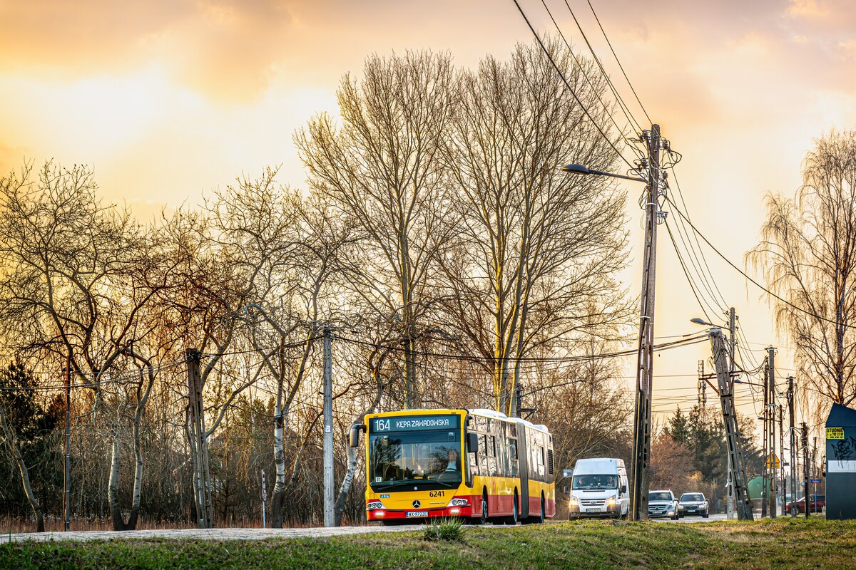 6241
Słowa kluczowe: DziwadĹo ZachĂłd Trylinka