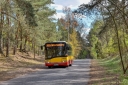DSC_0264csmall.jpg