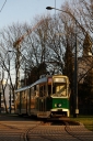 DSC00747.jpg