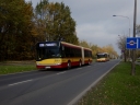 IMG_7718.jpeg