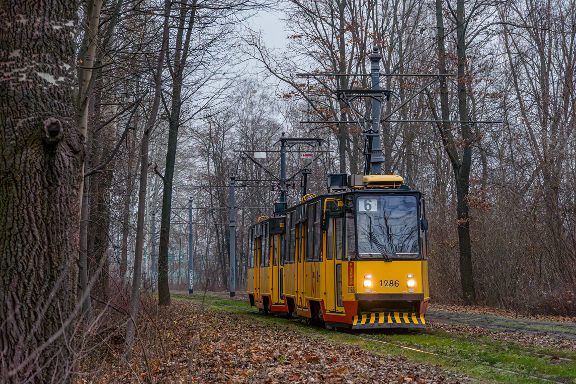 1286+1285
Słowa kluczowe: Natura