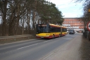 DSC_0066o.jpg