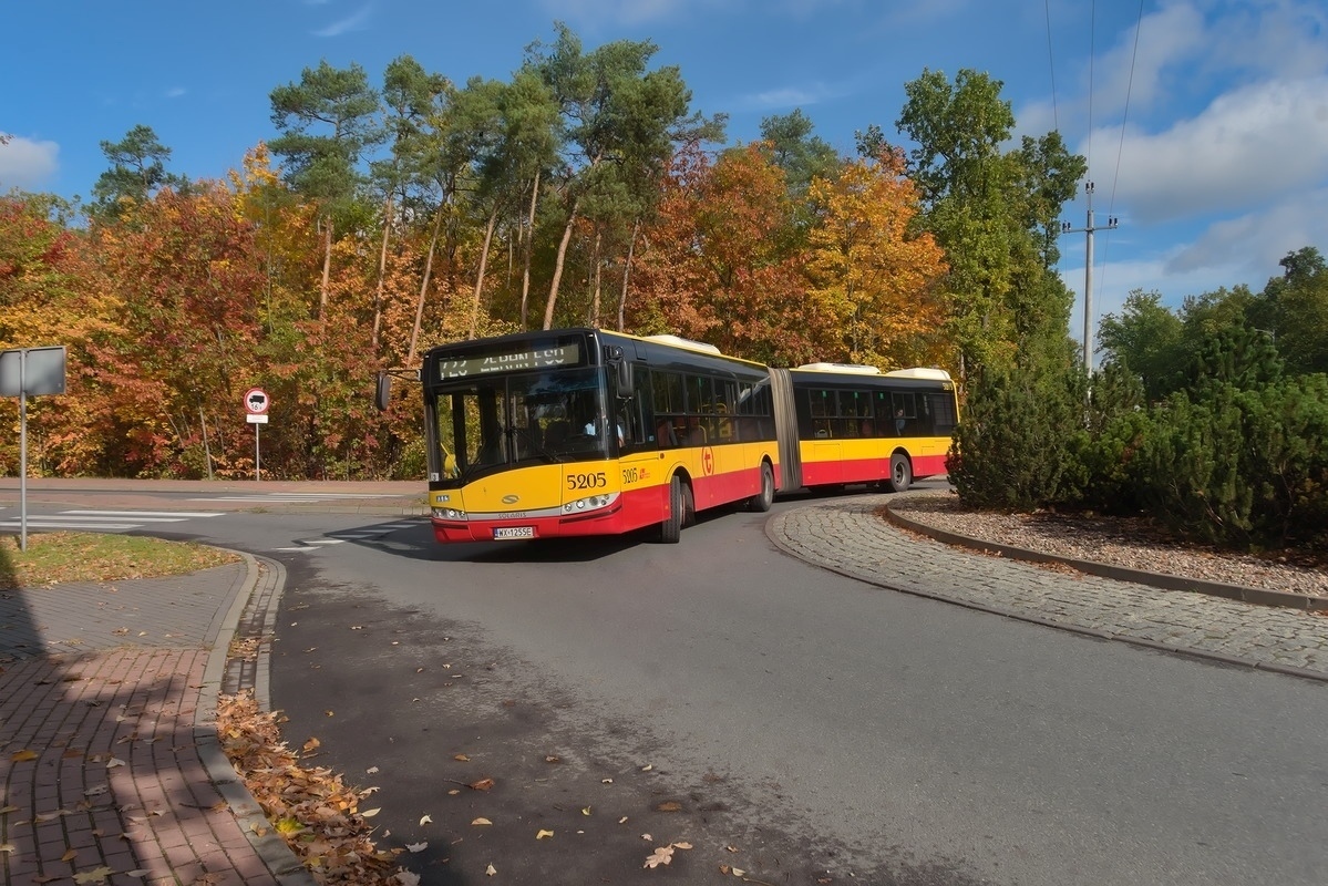5205
Słowa kluczowe: Jesień
