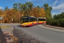 _DSC7483_NEF-1.jpg