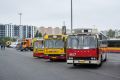 Czytaj więcej: Dni Transportu Publicznego 2021