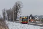 b_150_150_0_00_images_DB4905A_Lazy_Rolna.jpg