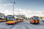 b_150_150_0_00_images_bus_9405_D_plDefilad.jpg