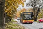 b_150_150_0_00_images_bus_A202_C40_Wolczynska.jpg